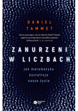Zanurzeni w liczbach