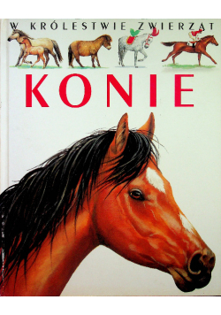 W królestwie zwierząt Konie