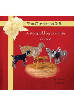 The Christmas Gift