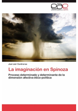 La Imaginacion En Spinoza