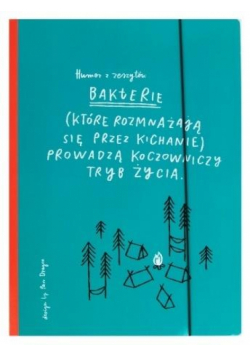 Teczka A4 z gumką Humor-02