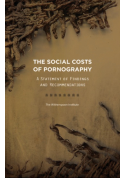 The social costs of pornography
