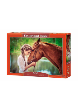 Puzzle 500 Wielka przyjaźń CASTOR