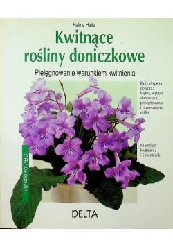 Kwitnące rośliny doniczkowe pielęgnowanie warunkiem kwitnienia
