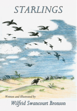 Starlings