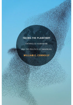 Facing the Planetary