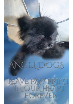 Angel Dog in Heaven