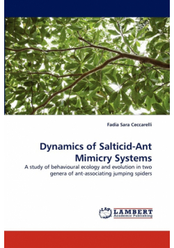Dynamics of Salticid-Ant Mimicry Systems