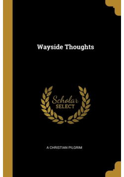 Wayside Thoughts