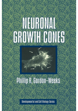 Neuronal Growth Cones
