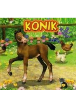 Konik JAFI