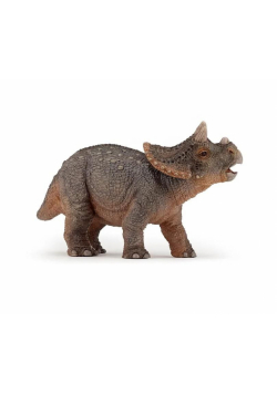 Triceratops młody