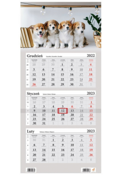 Kalendarz 2023 Trójdzielny Psy Corgi