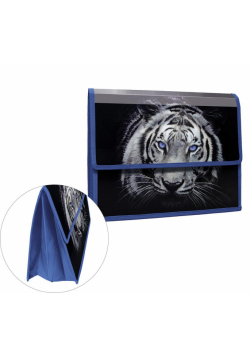 Teczka z klapką na rzepy A4 Tiger