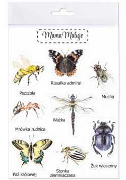 Naklejki duże Owady 2