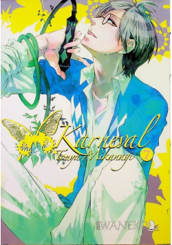 Karneval Tom 7