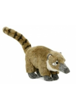 Ostronos 25cm