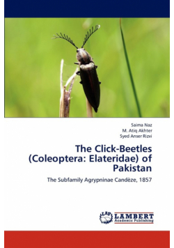 The Click-Beetles (Coleoptera