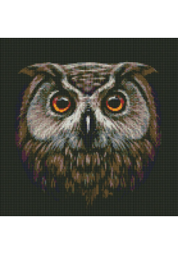 Diamentowa mozaika - Ptak mądrości 40x40cm