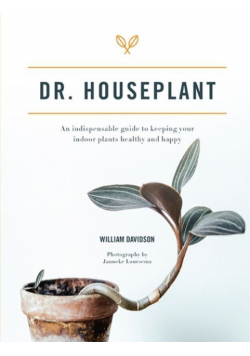 Dr. Houseplant