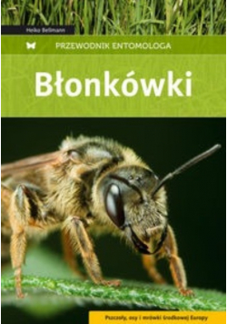 Przewodnik entomologa Błonkówki