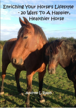 Enriching Your Horse's Lifestyle - 20 Ways To A Happier, Healthier Horse