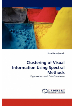 Clustering of Visual Information Using Spectral Methods