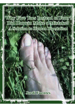 Why Five Toes Instead of Four?