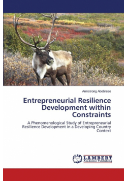 Entrepreneurial Resilience Development within Constraints