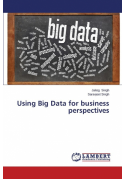 Using Big Data for business perspectives