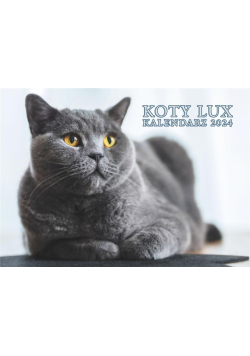 Kalendarz 2024 ścienny Lux Koty