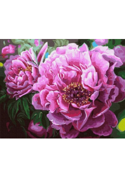 Malowanie po numerach - Cudowne piwonie 40x50cm