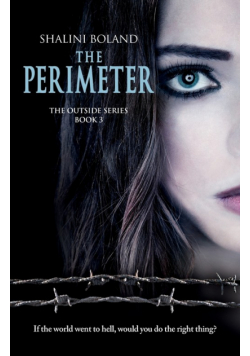The Perimeter