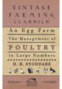 An Egg Farm - The Management Of Poultry In Large Numbers