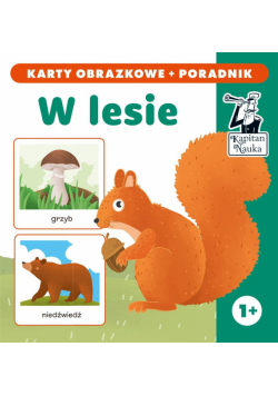 Kapitan Nauka W lesie. Karty obrazkowe
