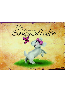 The Story of Snowflake