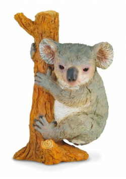 Miś koala wspinający się M