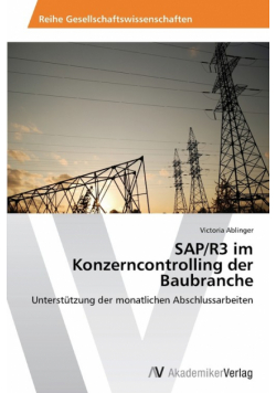 SAP/R3 Im Konzerncontrolling Der Baubranche