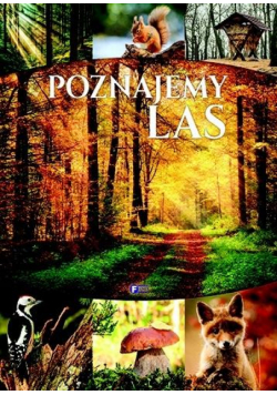 Poznajemy las TW FENIX