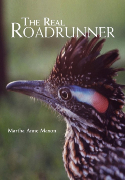 The Real Roadrunner