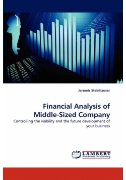 Financial Analysis of Middle-Sized Company