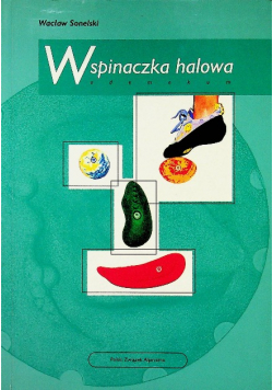 Wspinaczka halowa