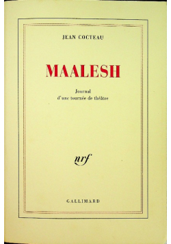 Maalesh Journal d'une tournee de theatre
