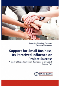 Support for Small Business, Its Perceived Influence on Project Success