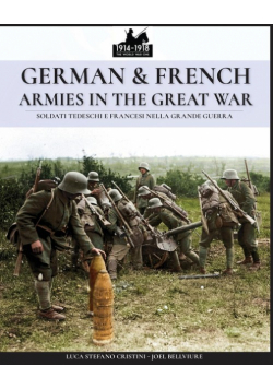 German & French Armies in the Great War
