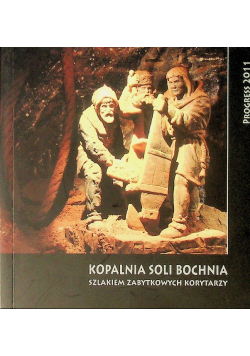 Kopalnia soli Bochnia