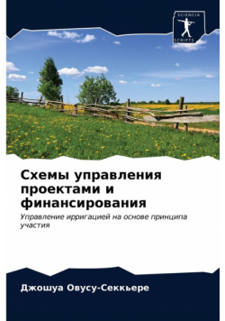 Схемы управления проектами и финансирования