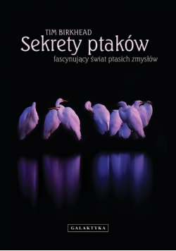 Sekrety ptaków Fascynujący świat ptasich zmysłów