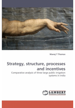 Strategy, Structure, Processes and Incentives