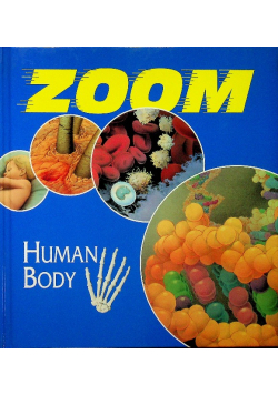 Zoom The Human Body
